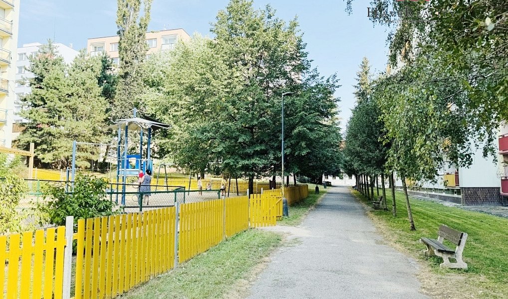 Pronájem bytu 1+1 46 m², Benešov – náhled fotky 13