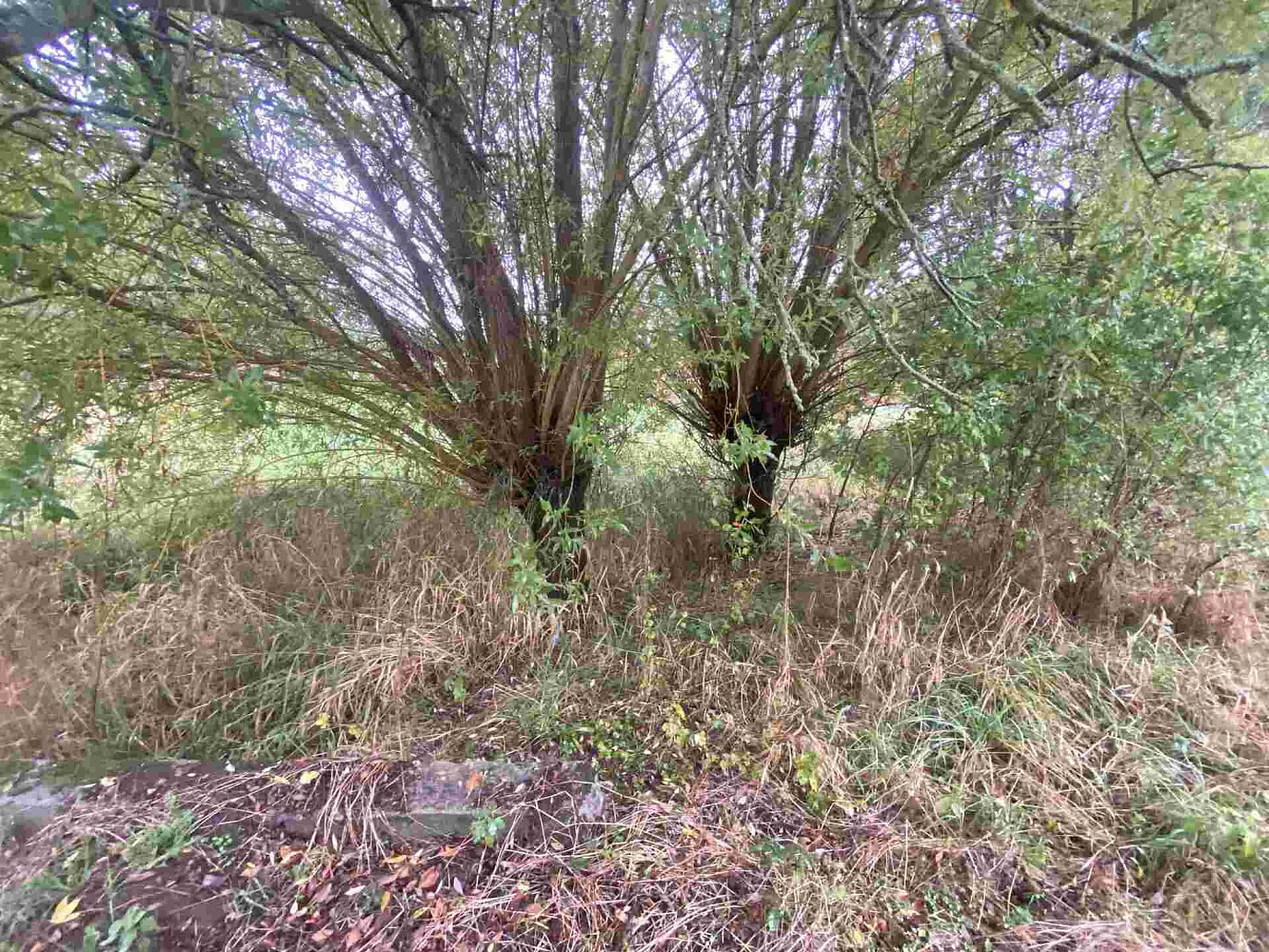 Prodej stavebního pozemku 588 m² – fotografie 4