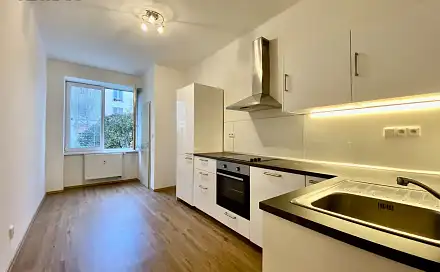 Pronájem bytu 1+1 40 m²