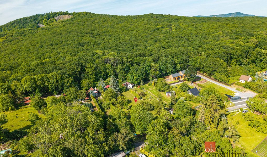 Prodej stavebního pozemku 1 011 m², Kamýk – náhled fotky 8