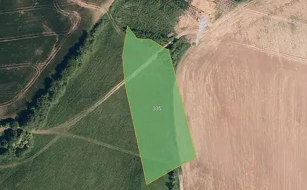Prodej louky 6 221 m², Dolní Nětčice, okres Přerov