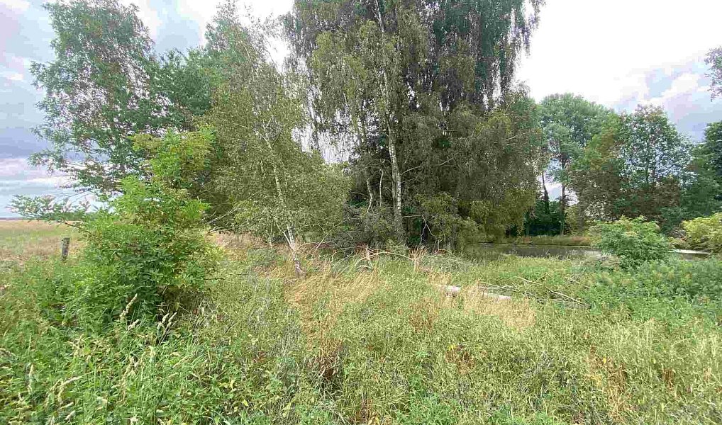 Prodej pozemku, 2230 m², Tuněchody - Tachov, Kladruby