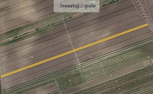 Prodej pole 3 452 m², Velké Pavlovice, okres Břeclav