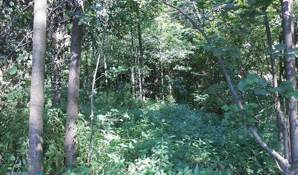 Prodej pozemku 2 566 m², Stonava – náhled fotky 4