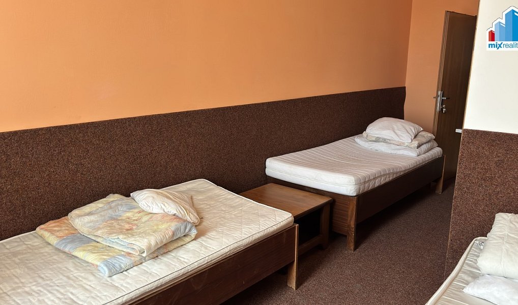 Prodej komerčního objektu (jiného typu) 600 m², Kralovice – náhled fotky 24