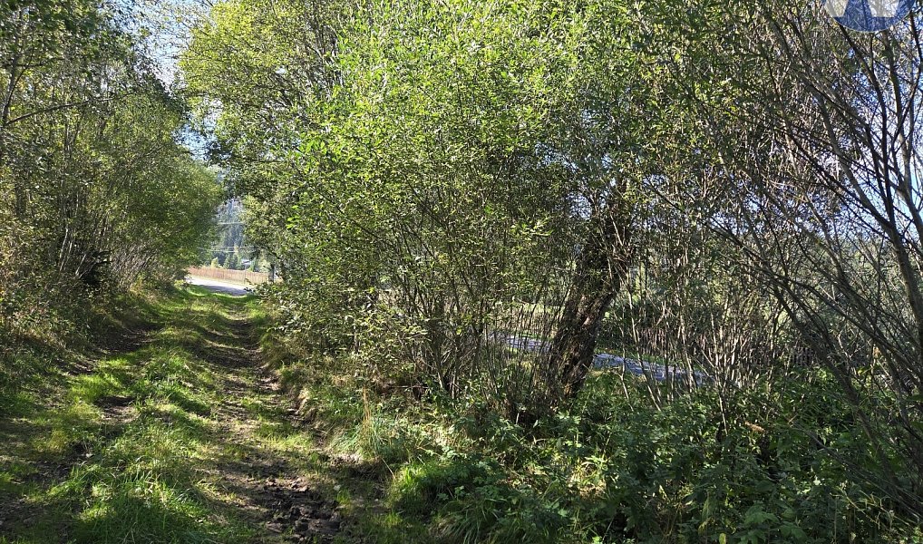 Prodej pozemku 211 m², Stožec – náhled fotky 4