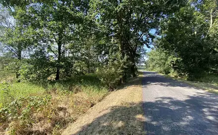 Prodej pozemku 200 m², Lipová, okres Cheb
