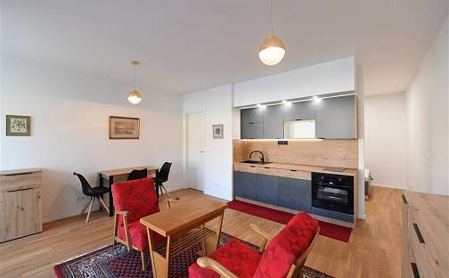 Pronájem bytu 1+kk 44 m², Seifertova, Praha 3 - Žižkov, okres Praha