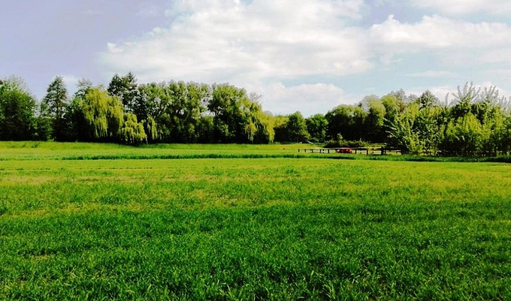 Prodej skladovacích prostor 6 000 m², Mohelnice – náhled fotky 4