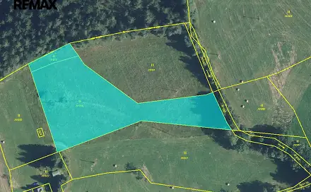 Prodej stavebního pozemku 5 776 m², Borová, okres Svitavy