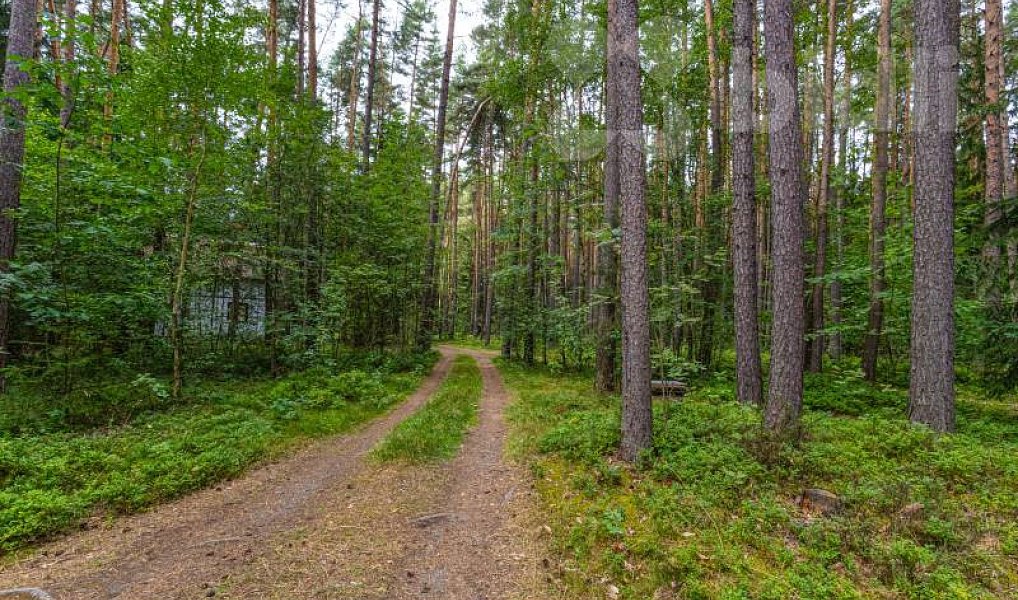 Prodej chaty/chalupy 23 m² s pozemkem 1 m², Stráž – náhled fotky 6