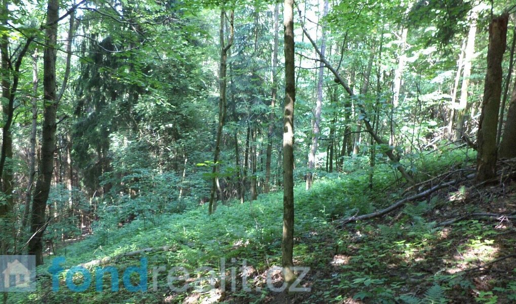 Prodej pozemku 4 634 m², Dolní Dobrouč – náhled fotky 8