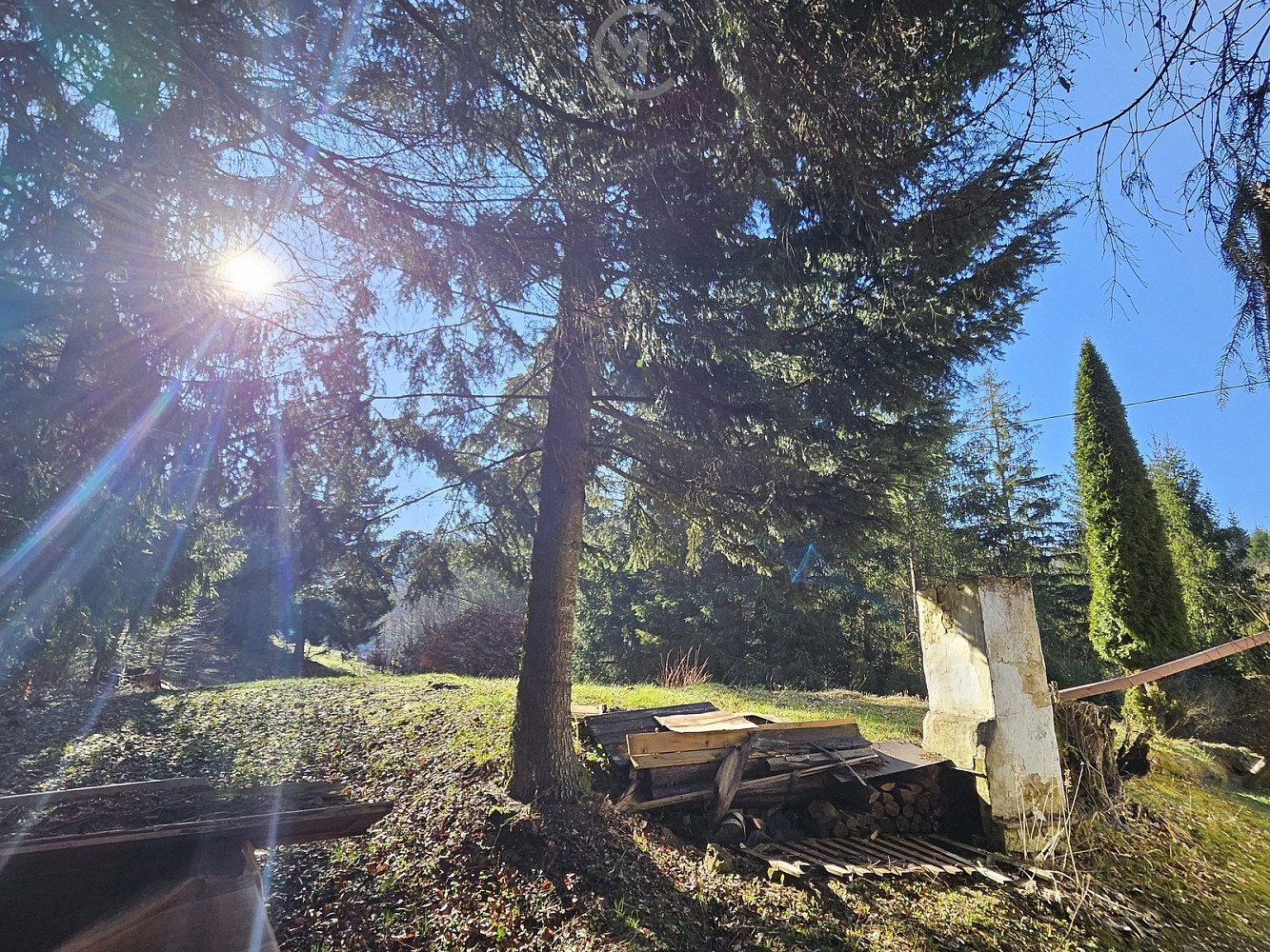 Fotka 9 z 21