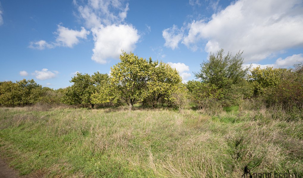 Prodej pozemku 14 896 m², Hustopeče – náhled fotky 2