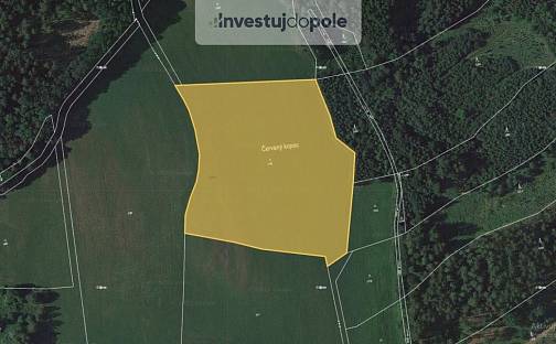 Prodej louky 19 766 m², Úbislavice, okres Jičín