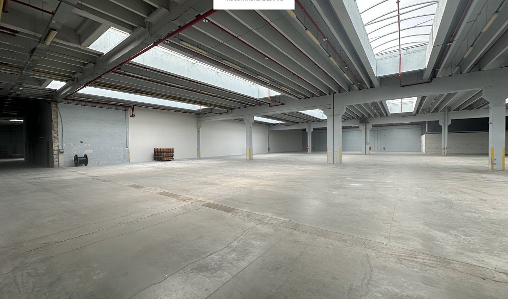 Pronájem skladovacích prostor 2 000 m², Říčany – náhled fotky 10