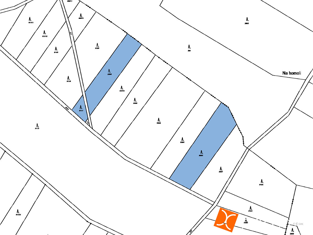 Prodej lesa 460 m² – fotografie 2