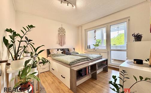 Prodej bytu 3+1 68 m², Na Borku, Jirkov, okres Chomutov