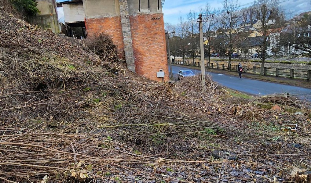 Prodej stavebního pozemku 1 155 m², Česká Třebová – náhled fotky 6