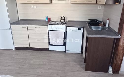 Prodej bytu 1+1 93 m², Teplická, Děčín - Děčín IV-Podmokly