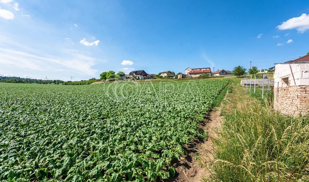 Prodej stavebního pozemku 1 050 m², Dobrovice – náhled fotky 7
