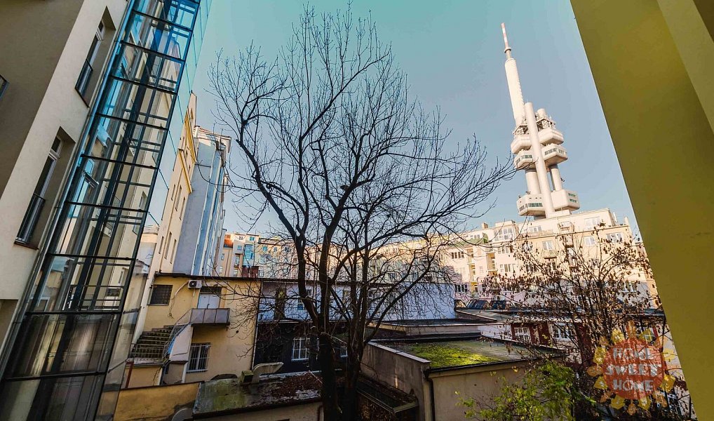 Pronájem bytu 1+1 35 m², Praha – náhled fotky 6
