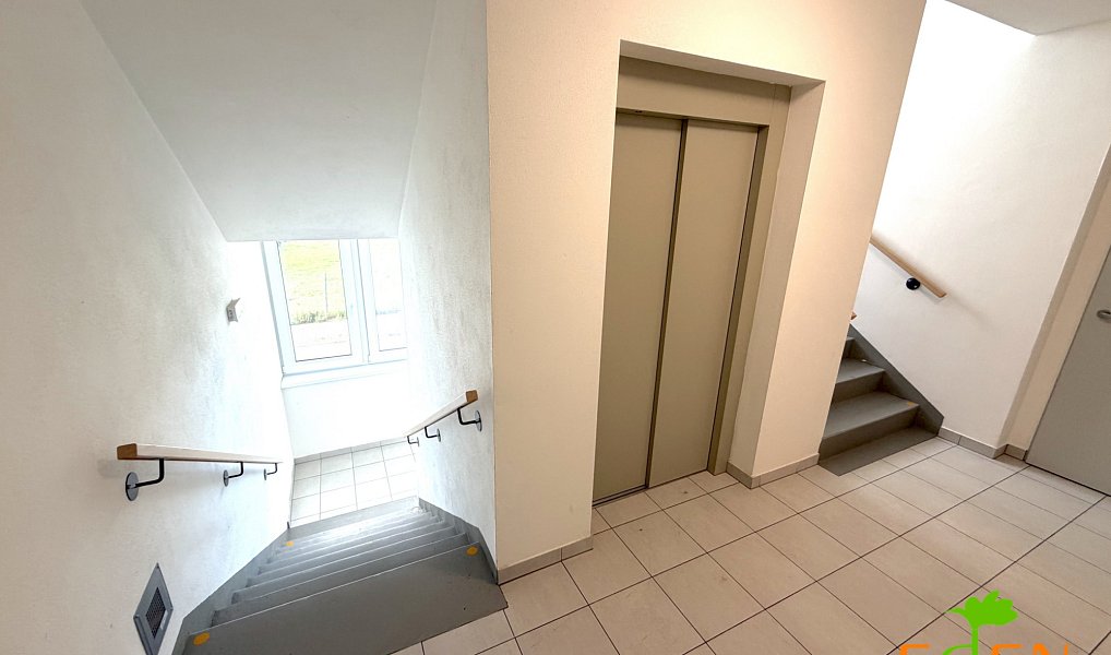 Pronájem bytu 2+kk 43 m², Plzeň – náhled fotky 11