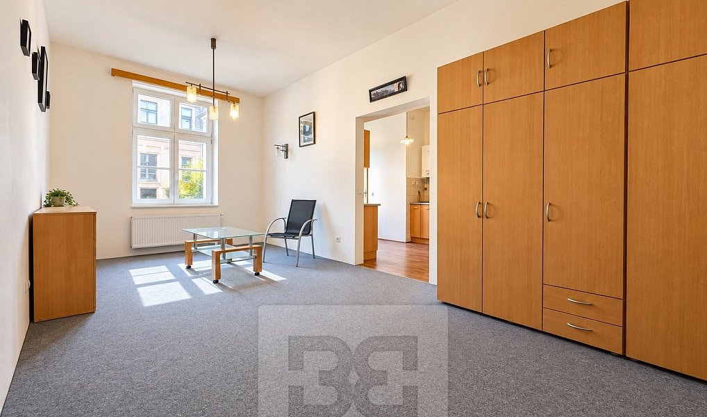 Pronájem bytu 1+1 38 m², Praha – náhled fotky 3