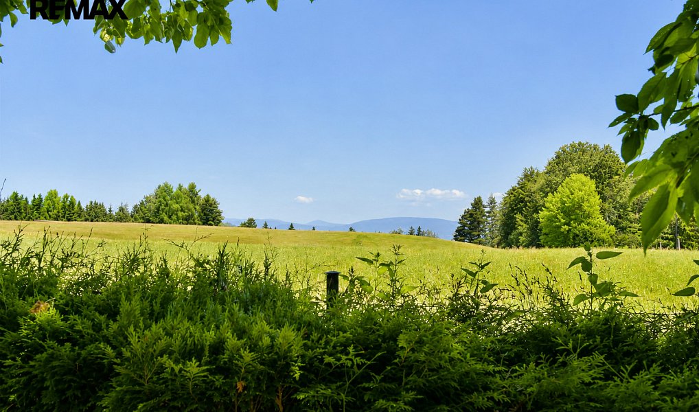 Prodej chaty/chalupy 62 m² s pozemkem 2 791 m², Borovnice – náhled fotky 4