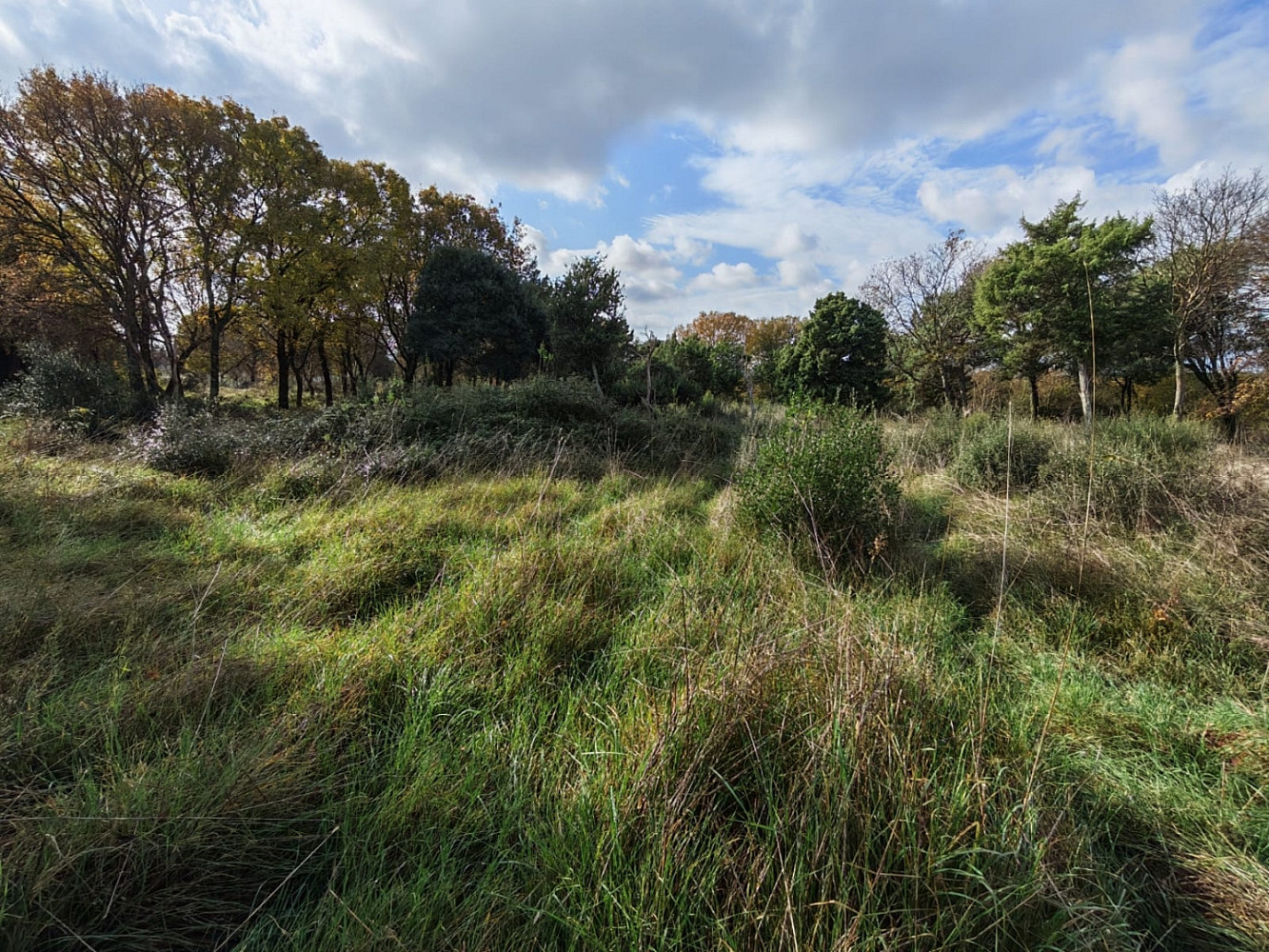 Prodej pole 11 423 m²