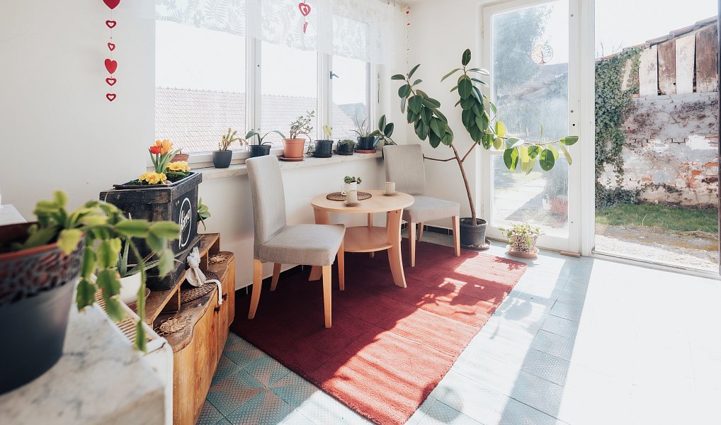 Prodej domu 410 m² s pozemkem 1 748 m², Nedachlebice – náhled fotky 4