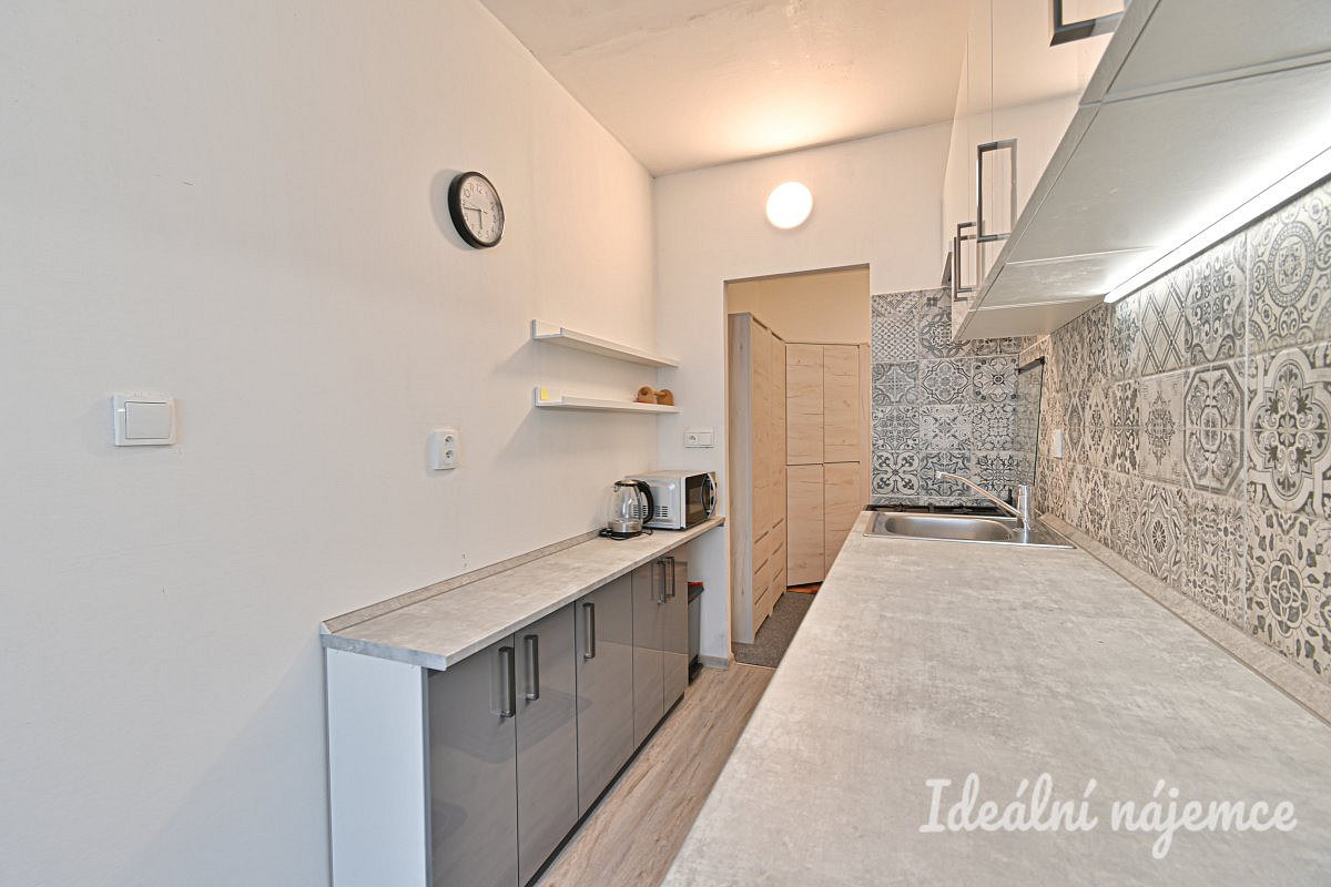Pronájem bytu 2+1 50 m² – fotografie 3