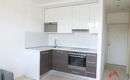 Pronájem bytu 1+1 36 m²