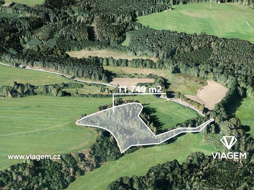 Prodej lesa 11 749 m²