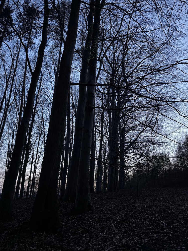 Fotka 5 z 10