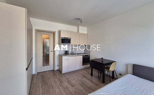 Pronájem bytu 1+kk 30 m², Bassova, Praha 9 - Vysočany