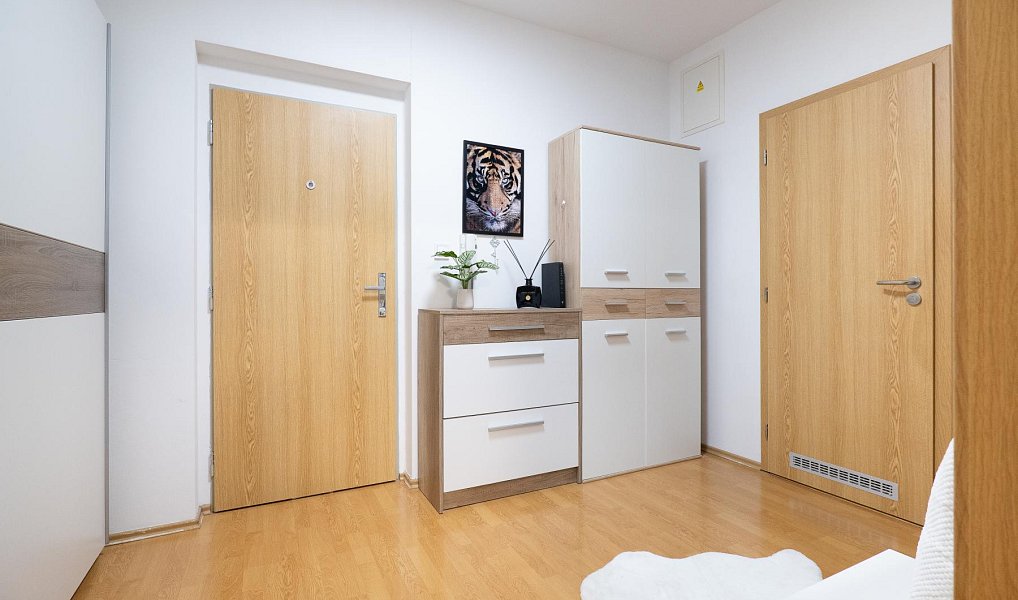 Prodej bytu 2+kk 63 m², Praha – náhled fotky 14