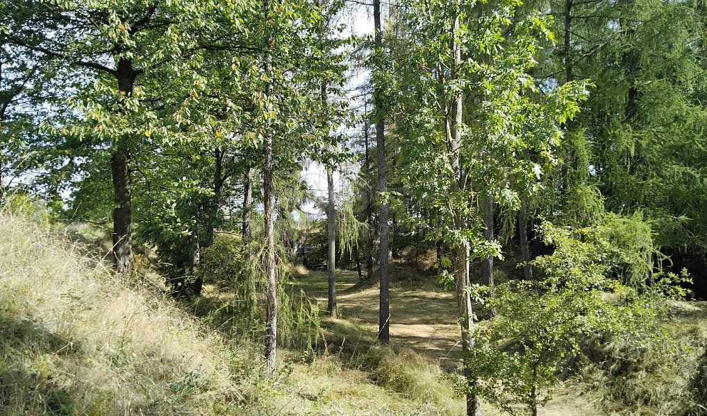 Prodej pozemku 13 529 m², Razová – náhled fotky 3