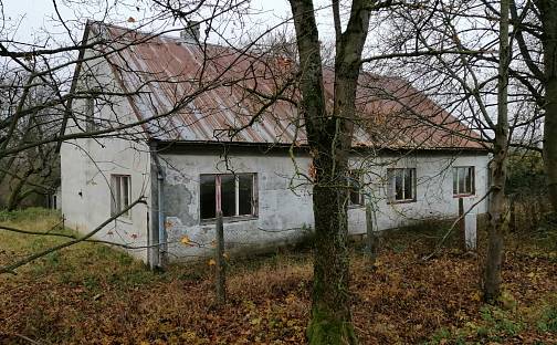 Prodej domu 400 m² s pozemkem 1 465 m², Luby - Opatov, okres Cheb
