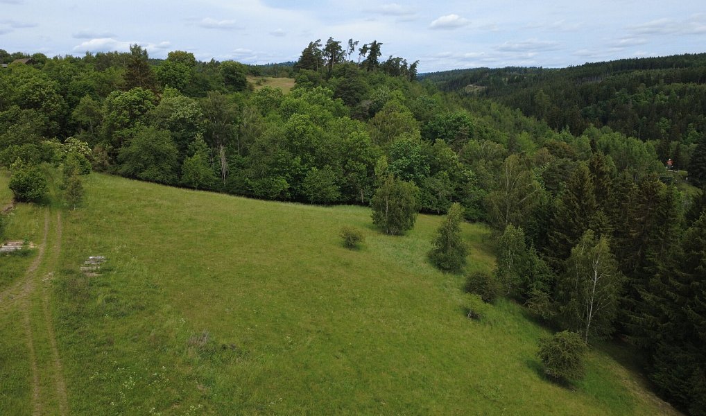Prodej stavebního pozemku 1 435 m², Planá – náhled fotky 11