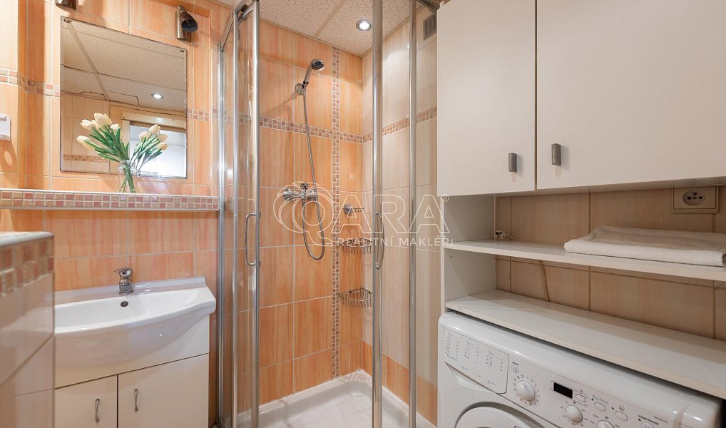 Prodej bytu 1+kk 25 m², Praha – náhled fotky 11