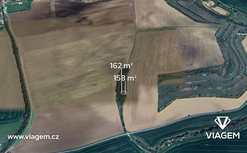 Prodej lesa 320 m², Syrovín, okres Hodonín