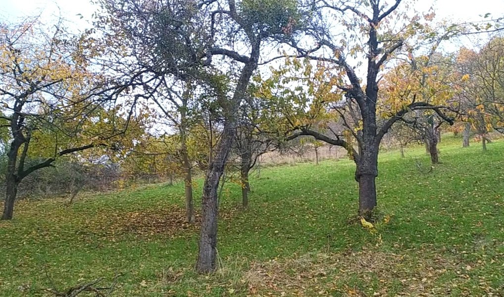 Prodej zahrady 3 492 m², Přílepy – náhled fotky 10