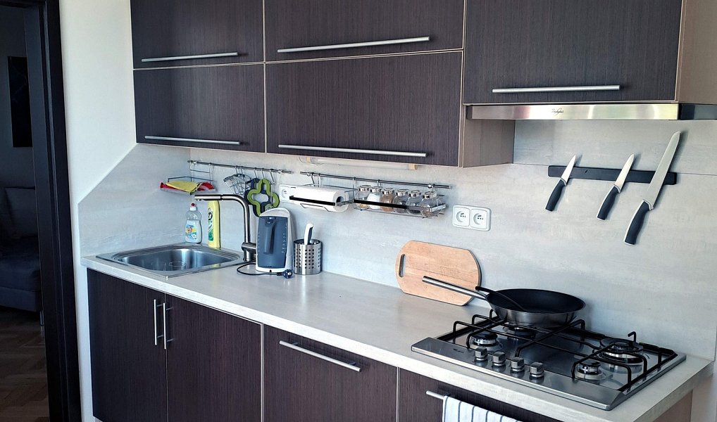 Pronájem bytu 2+1 60 m², Karlovy Vary – náhled fotky 4