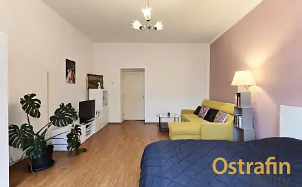 Pronájem bytu 1+1 52 m², Veleslavínova, Ostrava - Moravská Ostrava