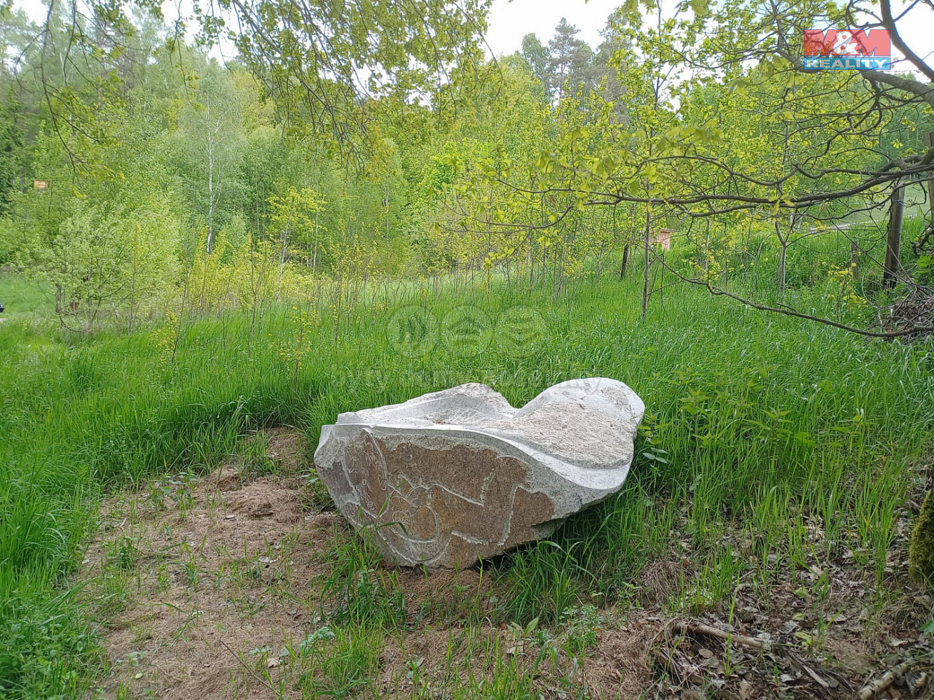 Prodej louky 6 962 m² — photo 3
