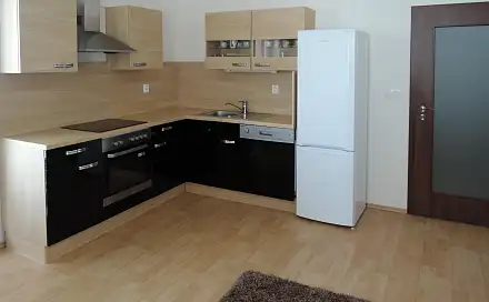 Pronájem bytu 2+1 55 m²