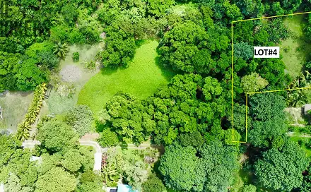 Prodej stavebního pozemku 3 265 m², Coxen Hole, Roatán, Honduras