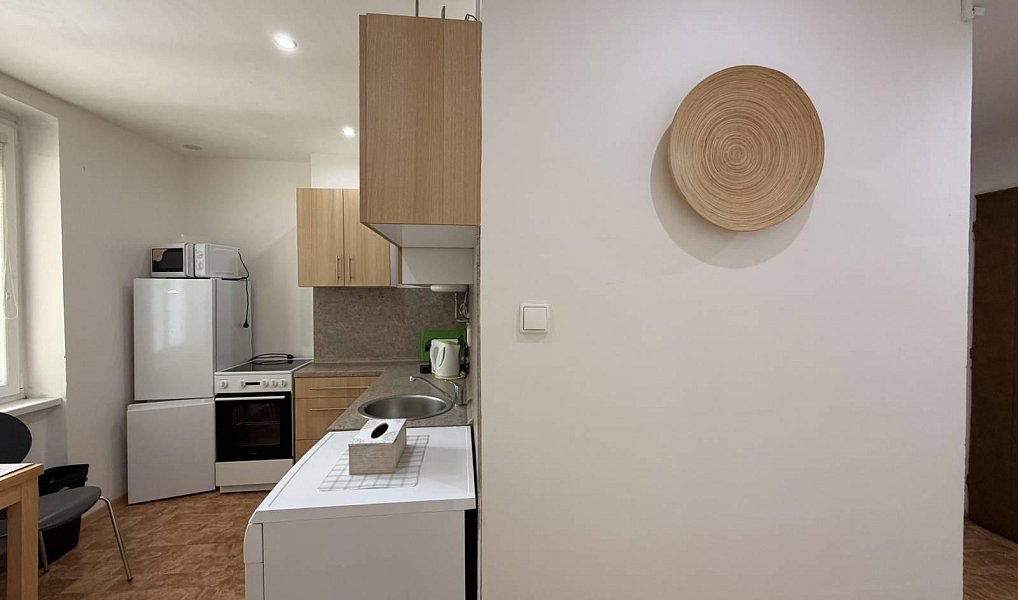 Pronájem bytu 1+1 35 m², Chomutov – náhled fotky 12