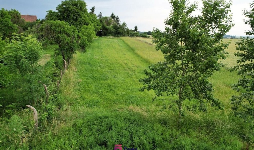 Prodej stavebního pozemku 1 175 m², Hradečno – náhled fotky 2